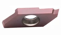CTPA10FL-RT091